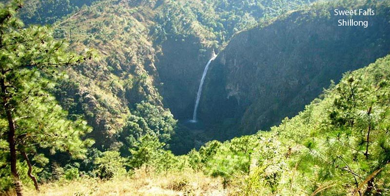 Deluxe Group Package Of North East For Shillong Cherrapunjee Kaziranga Guwahati