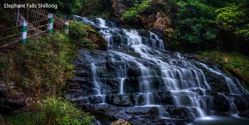 Deluxe Group Package Of North East For Shillong Cherrapunjee Kaziranga Guwahati