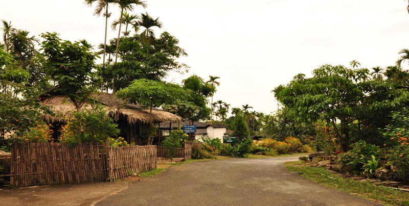 Best Package For Shillong And Cherrapunjee With Guwahati Assam For Groups