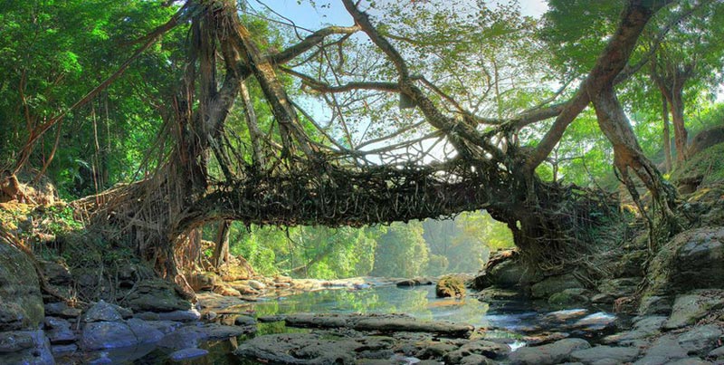 Best Group Package For Shillong And Cherrapunjee With Guwahati Assam