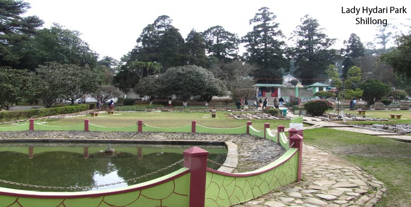 Best Package For Shillong And Cherrapunjee With Guwahati For Couple