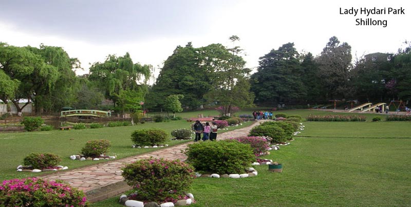 Best Package For Shillong And Cherrapunjee With Guwahati For Couple