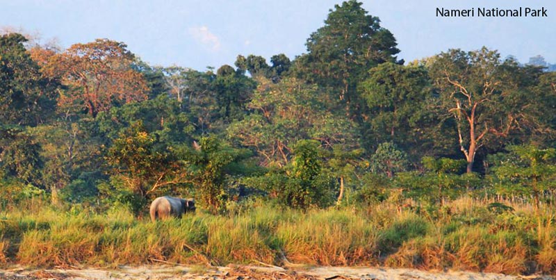 Deluxe Package For Unexplored Wildlife Of Nameri For Couple
