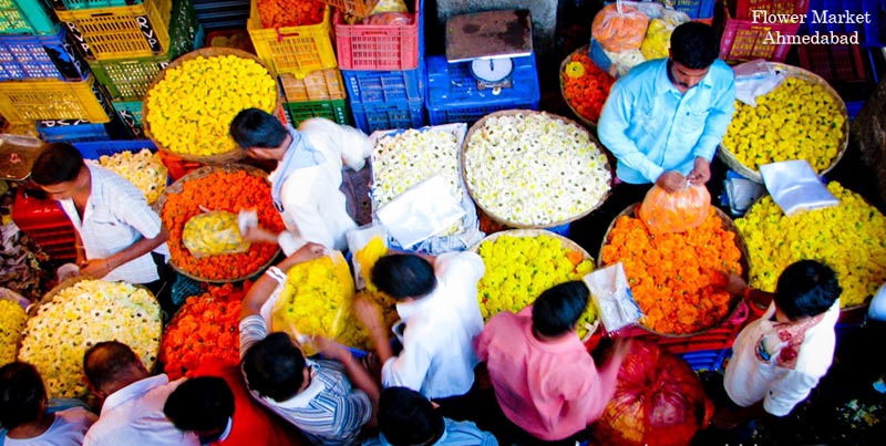 Budget Group Tour Package Of Dwarka Somnath Diu And Ahmedabad