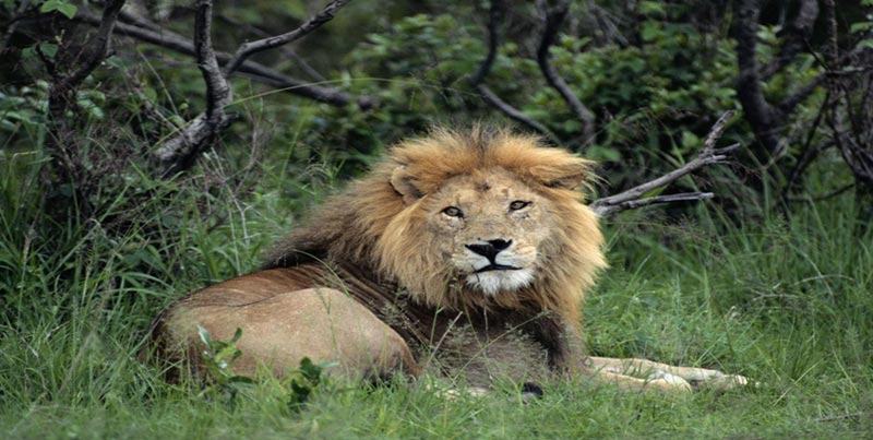 Top Budget Group Tour Package Of Daman Silvassa And Best Hill Station Of Gujarat Saputara