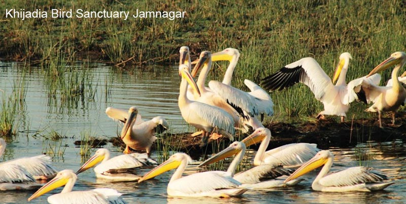 Best Ever Group Textile Package Tour Of Gujarat With Bhuj And Little Rann Of Kutch