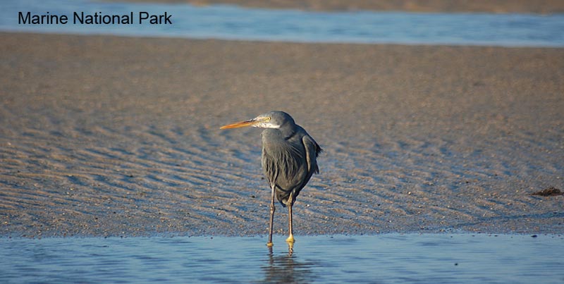 Best Ever Group Textile Package Tour Of Gujarat With Bhuj And Little Rann Of Kutch