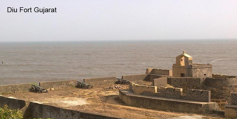 Top Group Wildlife Trip Of Sasangir With Blissful Diu Beach Of Gujarat Tour