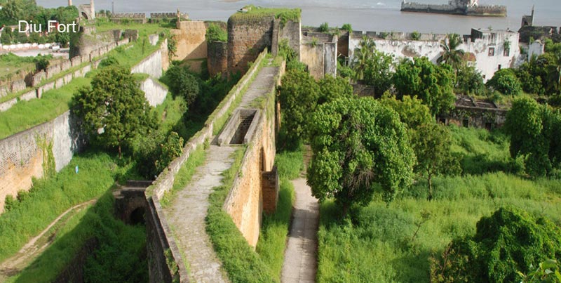 Top Group Wildlife Trip Of Sasangir With Blissful Diu Beach Of Gujarat Tour