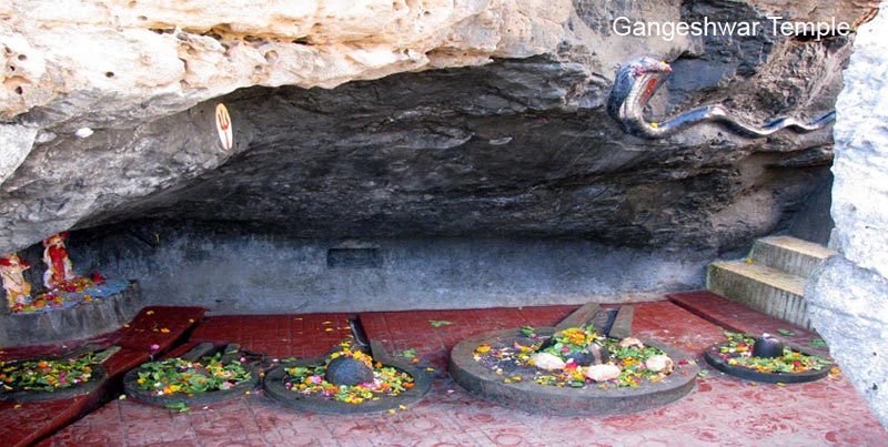 Top Group Wildlife Trip Of Sasangir With Blissful Diu Beach Of Gujarat Tour