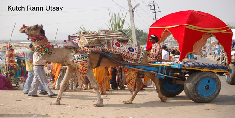 Best Group Package Deal Of Kutch Rann Special With Bhuj And Mandvi Gujarat Tour