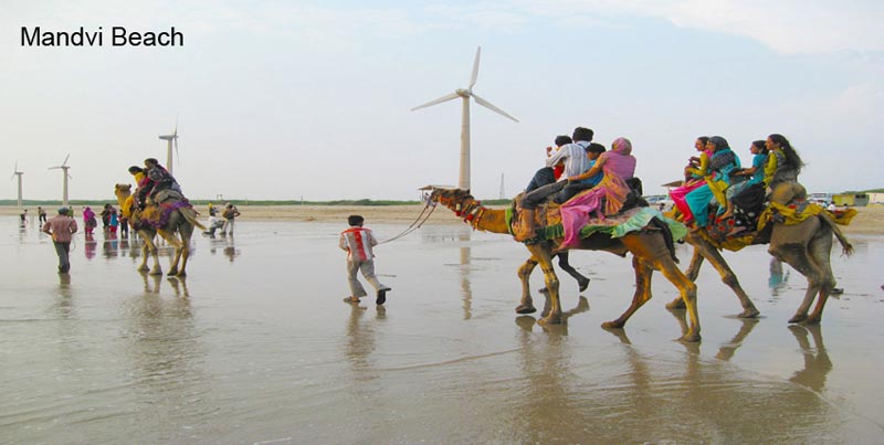 Best Group Package Deal Of Kutch Rann Special With Bhuj And Mandvi Gujarat Tour