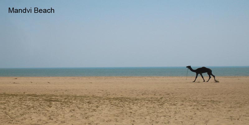 Best Group Package Deal Of Kutch Rann Special With Bhuj And Mandvi Gujarat Tour