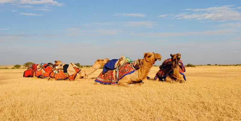 Best Group Package Deal Of Kutch Rann Special With Bhuj And Mandvi Gujarat Tour