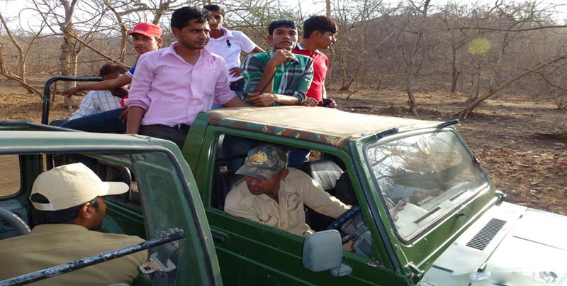 Best Ever Budget Package To Visit The Home Of Asiatic Lion Sasan gir