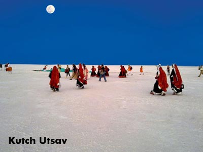 Deluxe Group Package Tour Of Gujarat With Wild Life Of Gir And Temples Of Somnath