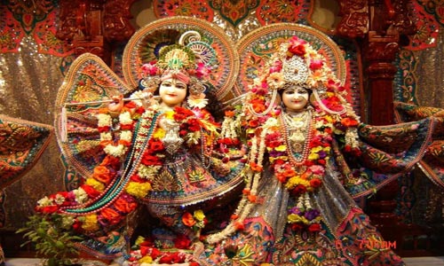 Budget Package Of Complete Gujarat With Wild Life Of Gir And Temple Of Somnath