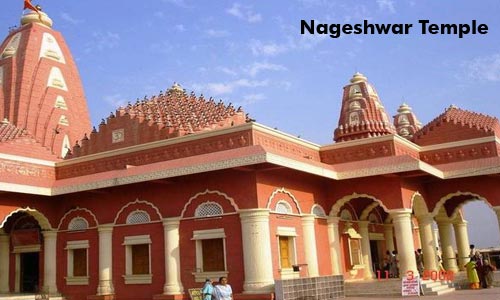 Budget Package Of Complete Gujarat With Wild Life Of Gir And Temple Of Somnath