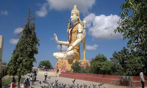 Budget Package Of Complete Gujarat With Wild Life Of Gir And Temple Of Somnath