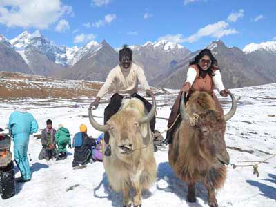 Unforgettable Group Package of Dazzling Manali Himachal Pradesh