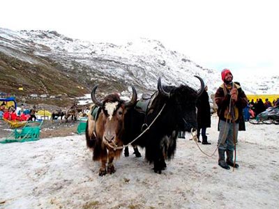 Unforgettable Group Package of Dazzling Manali Himachal Pradesh