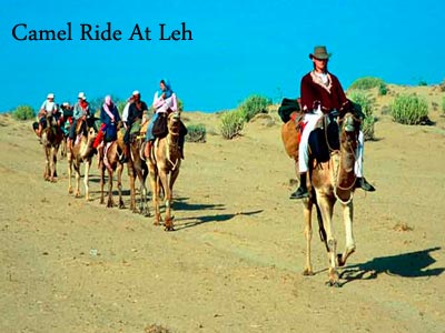 Enchanting Leh With Nubra Valley And Beautiful Pangong Lake