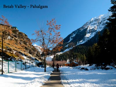 Charismatic Srinagar Tour With Gulmarg And Pahalgam