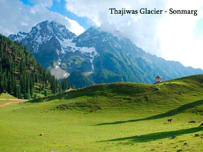 Charismatic Srinagar Tour With Gulmarg And Pahalgam