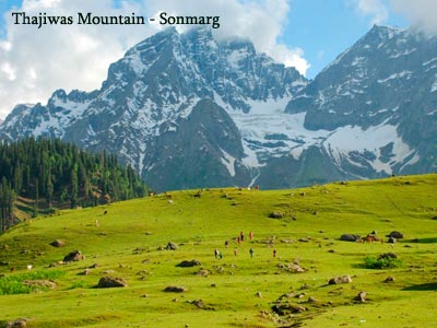 Charismatic Srinagar Tour With Gulmarg And Pahalgam