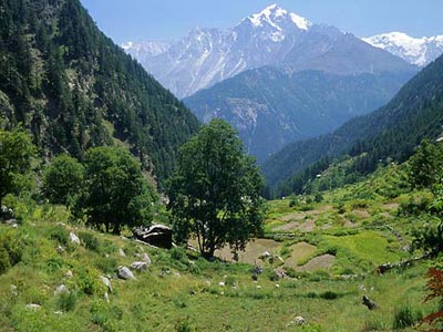 Enchanting Tirthan Valley Tour Of Himachal Pradesh