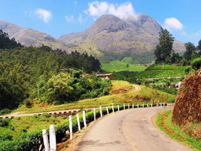 Mini Kerala Family Tour Of Cochin With Munnar And Thekkady