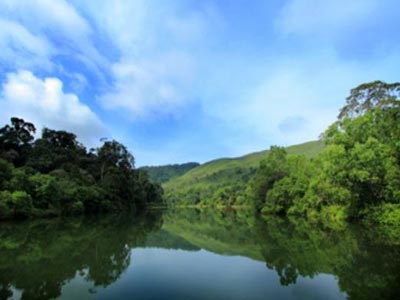 Mini Kerala Family Tour Of Cochin With Munnar And Thekkady