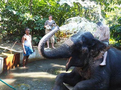 Fabulous Honeymoon At Cochin With Princes Of Hills Munnar And Thekkady