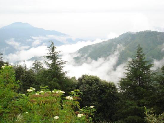 Himalayan Glamour Refreshing Rajgarh Valley In Himachal Pradesh Tour