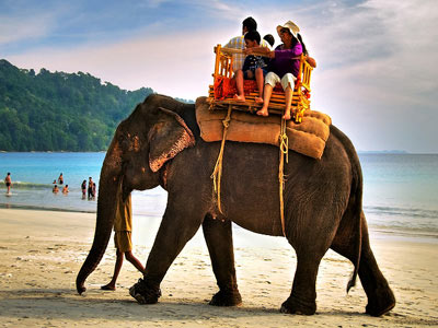 Pleasant Family Holiday Tour At Port Blair with Havelock Island Image