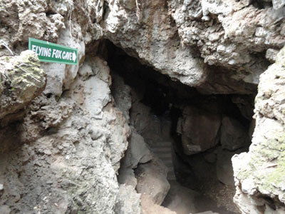 Flora And Fauna Of Corbett with Sparkling Nainital Tour