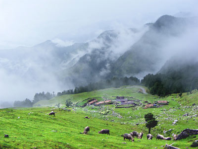 Queen Of Hills Mussoorie With Adventuress DevBhumi Rishikesh Tour 