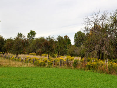 Stunning Himalayan Honeymoon Trip Of Kasauli And Rajgarh