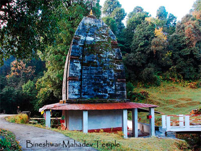 Rejuvenating Almora Tour With Unexplored Binsar Uttarakhand