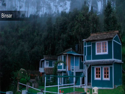 Rejuvenating Almora Tour With Unexplored Binsar Uttarakhand