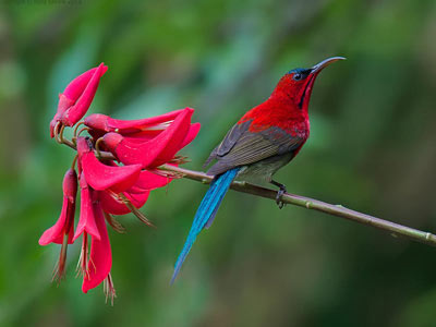 Captivating Tirthan Valley Trip of Himachal Pradesh