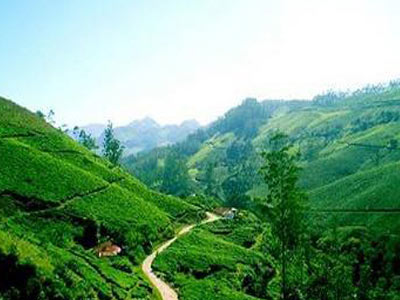 Alleppey Backwater Kerala Tour With Cochin And Princess Of Hills Munnar And Thekkady 