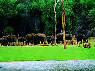 Alleppey Backwater Kerala Tour With Cochin And Princess Of Hills Munnar And Thekkady 