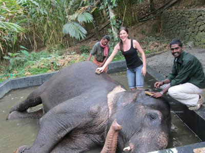 Alleppey Backwater Kerala Tour With Cochin And Princess Of Hills Munnar And Thekkady 