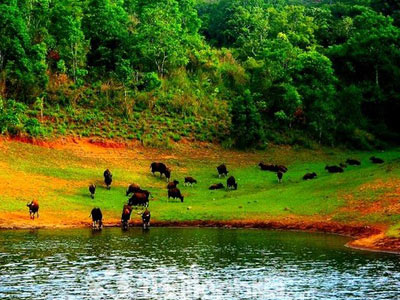 Alleppey Backwater Kerala Tour With Cochin And Princess Of Hills Munnar And Thekkady 