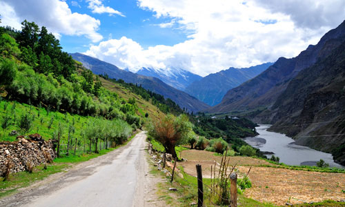 Best Budget Tour Package Of Unexplored Rajgarh Valley Himachal With Friends