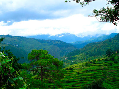 Sparklers Of Uttarakhand - Lansdowne - Ranikhet - Kausani Tour 