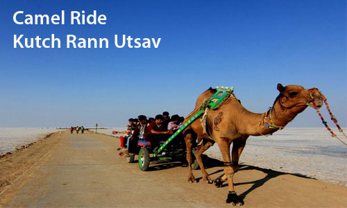 Celebrate Colourful Festival Of Kutch Rann Utsav Special 2015-16 Package
