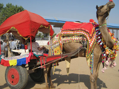 Tour Package Of Colourful Rajasthan
