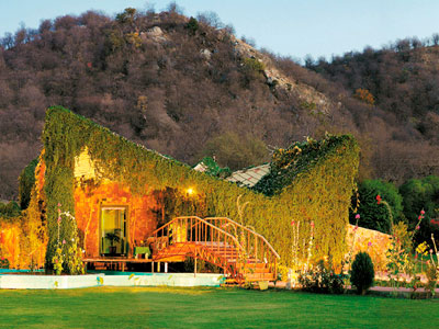 Flora & Fauna Of Unexplored Ranthambore Rajasthan Tour